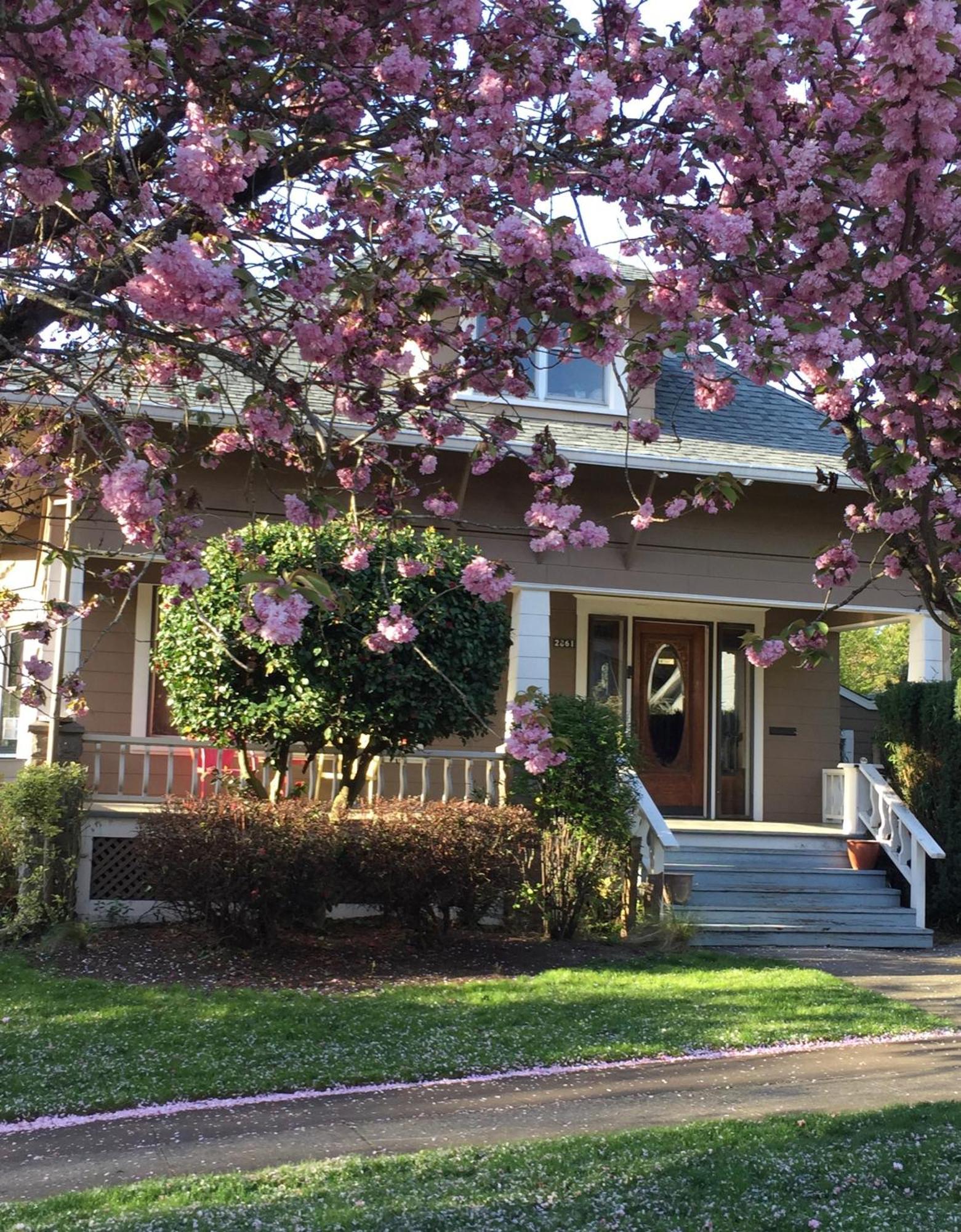 Southeast Portland Comfy & Eclectic Craftsman Home المظهر الخارجي الصورة
